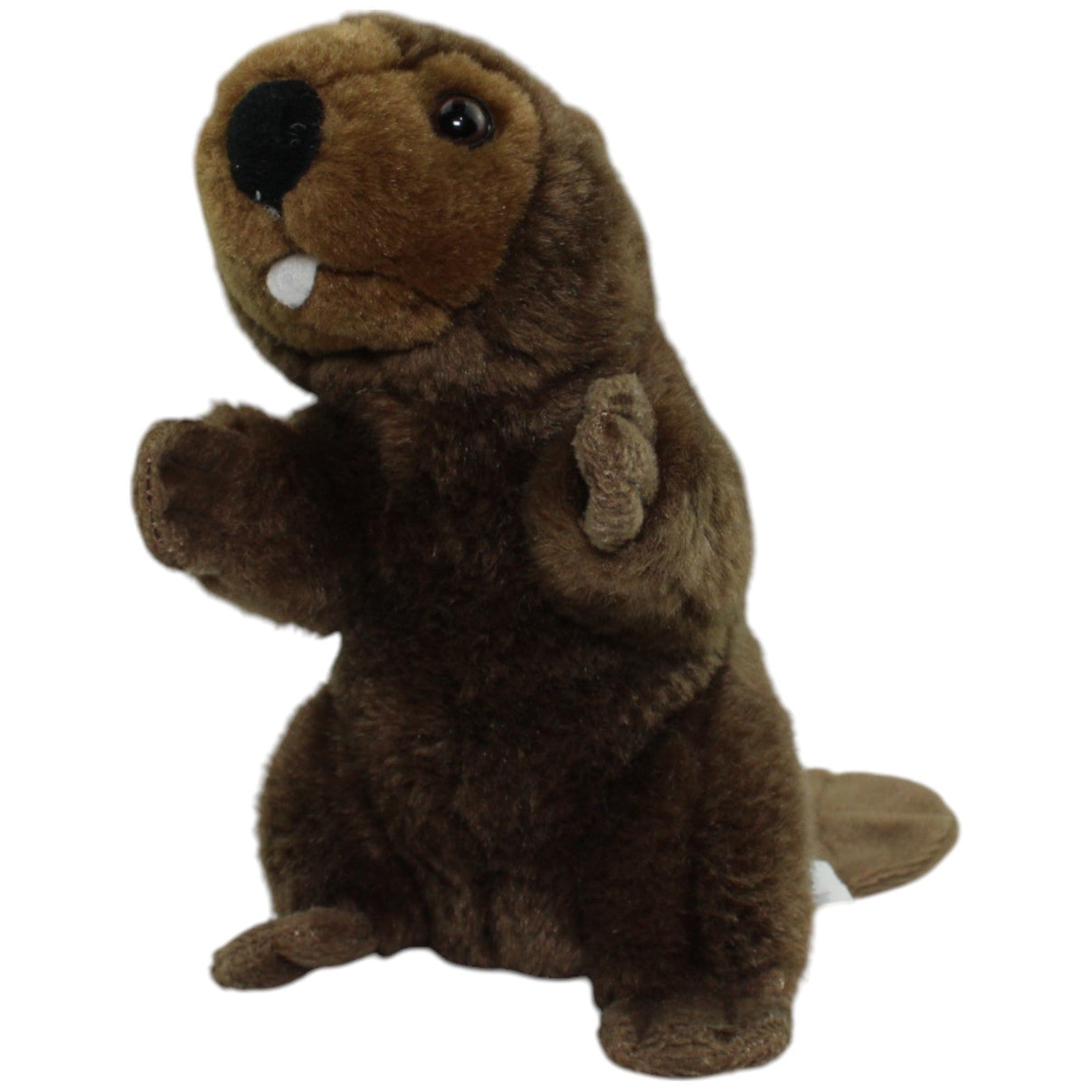 123000014299 CRACO Süßer Biber Kuscheltier Kumpel Leo Gebraucht