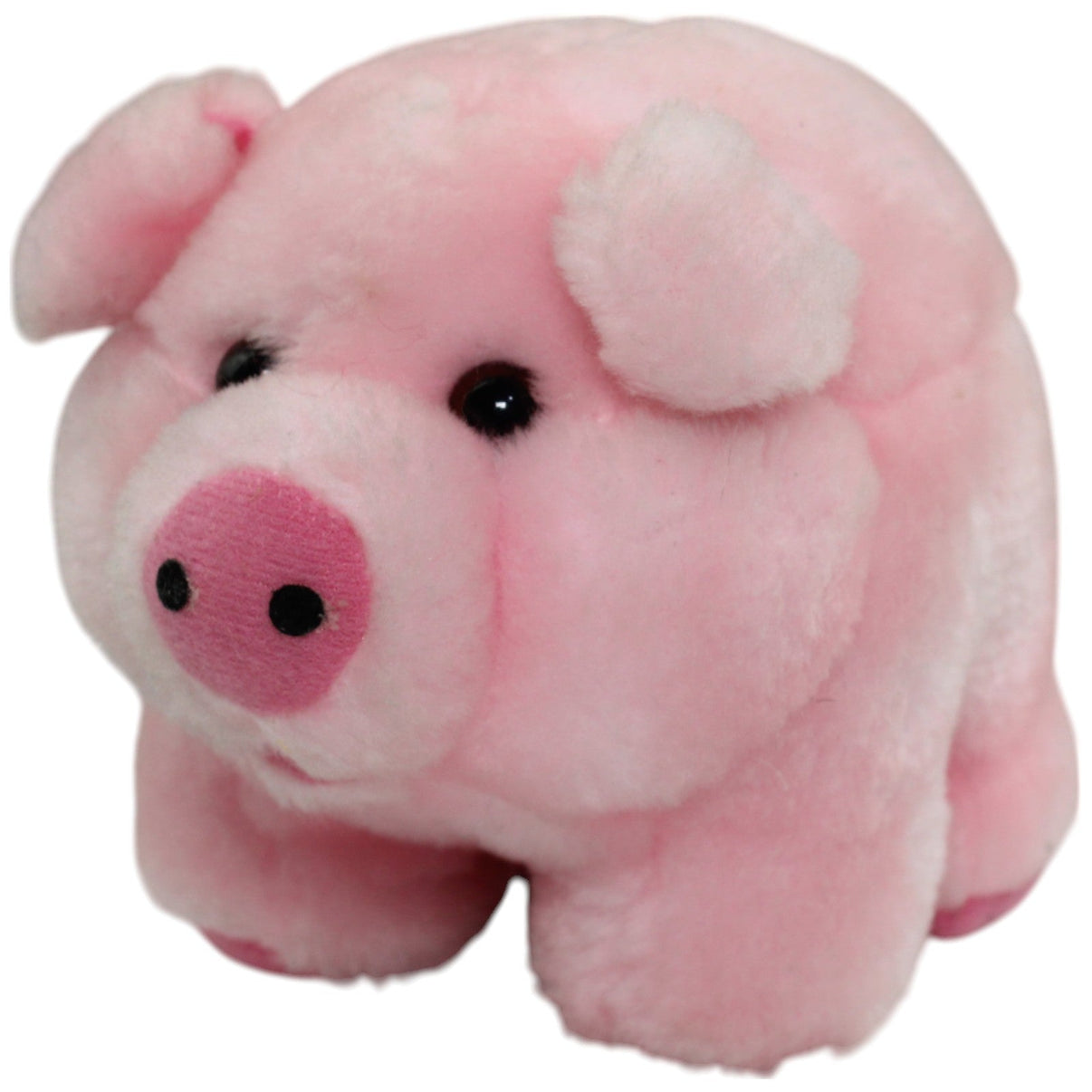 123000014395 Unbekannt Kleines süßes Schwein Kuscheltier Kumpel Leo Gebraucht