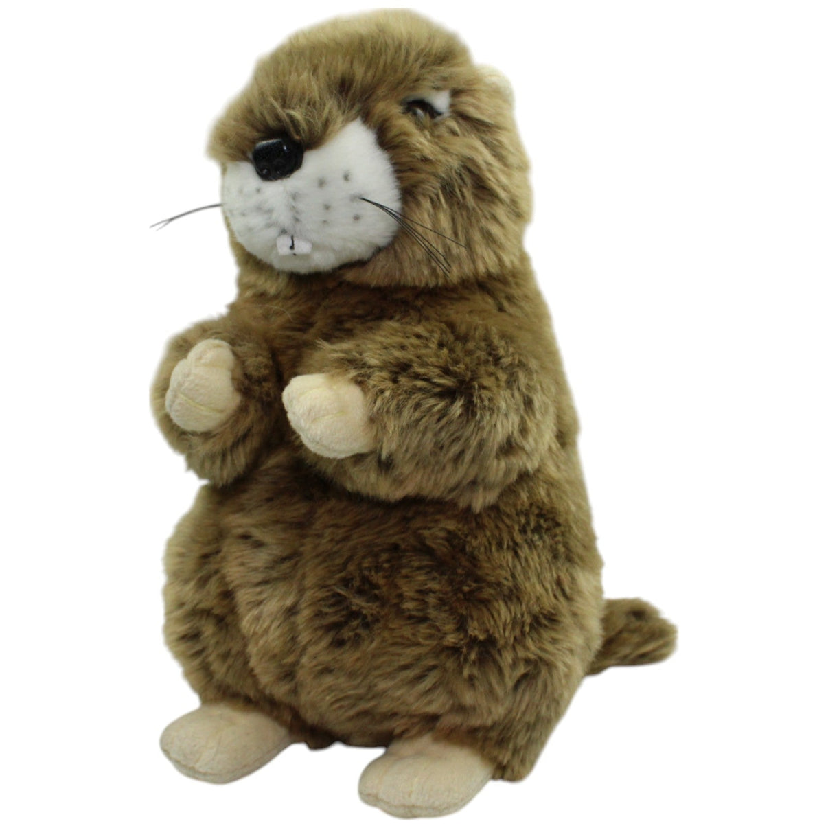 123000014579 Unbekannt Murmeltier, stehend Kuscheltier Kumpel Leo Gebraucht