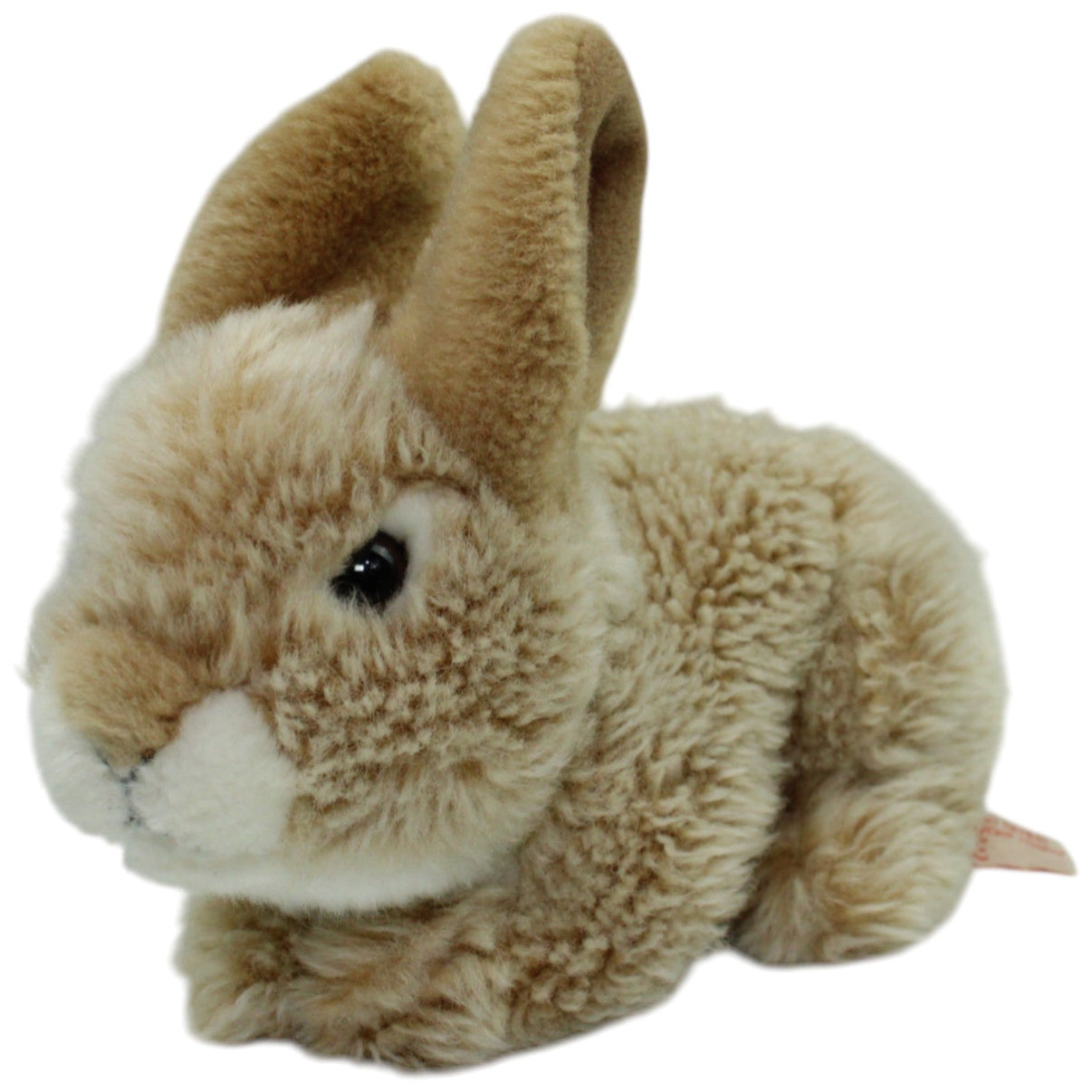 123000016498 Teddy - Hermann Beiger Hase Kuscheltier Kumpel Leo Gebraucht Kaninchen