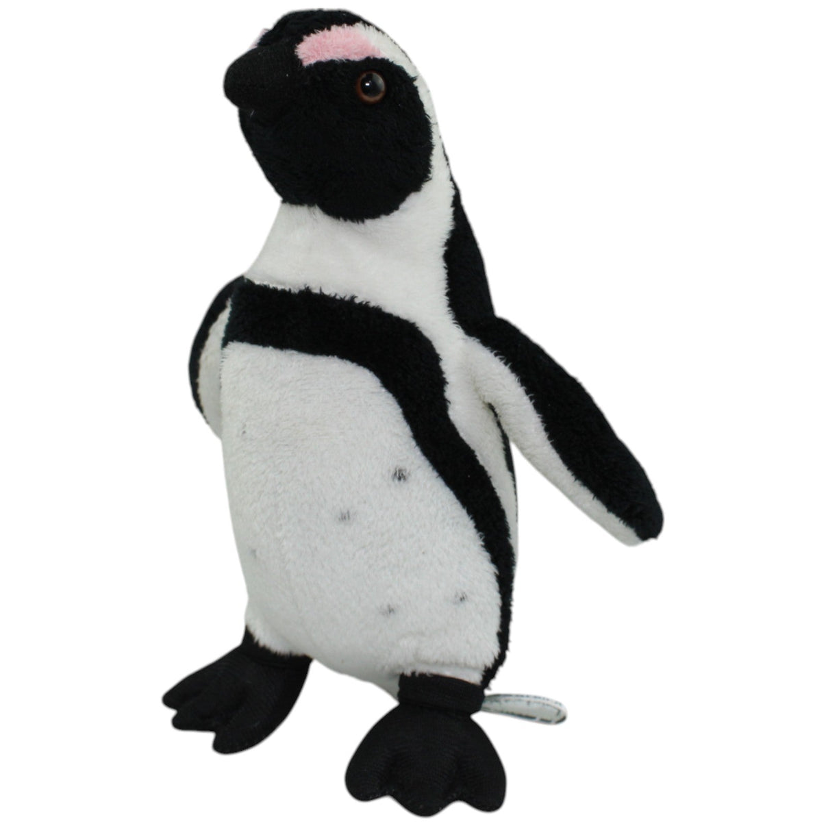 123000013988 Born In Africa Brillenpinguin, stehend Kuscheltier Kumpel Leo Gebraucht