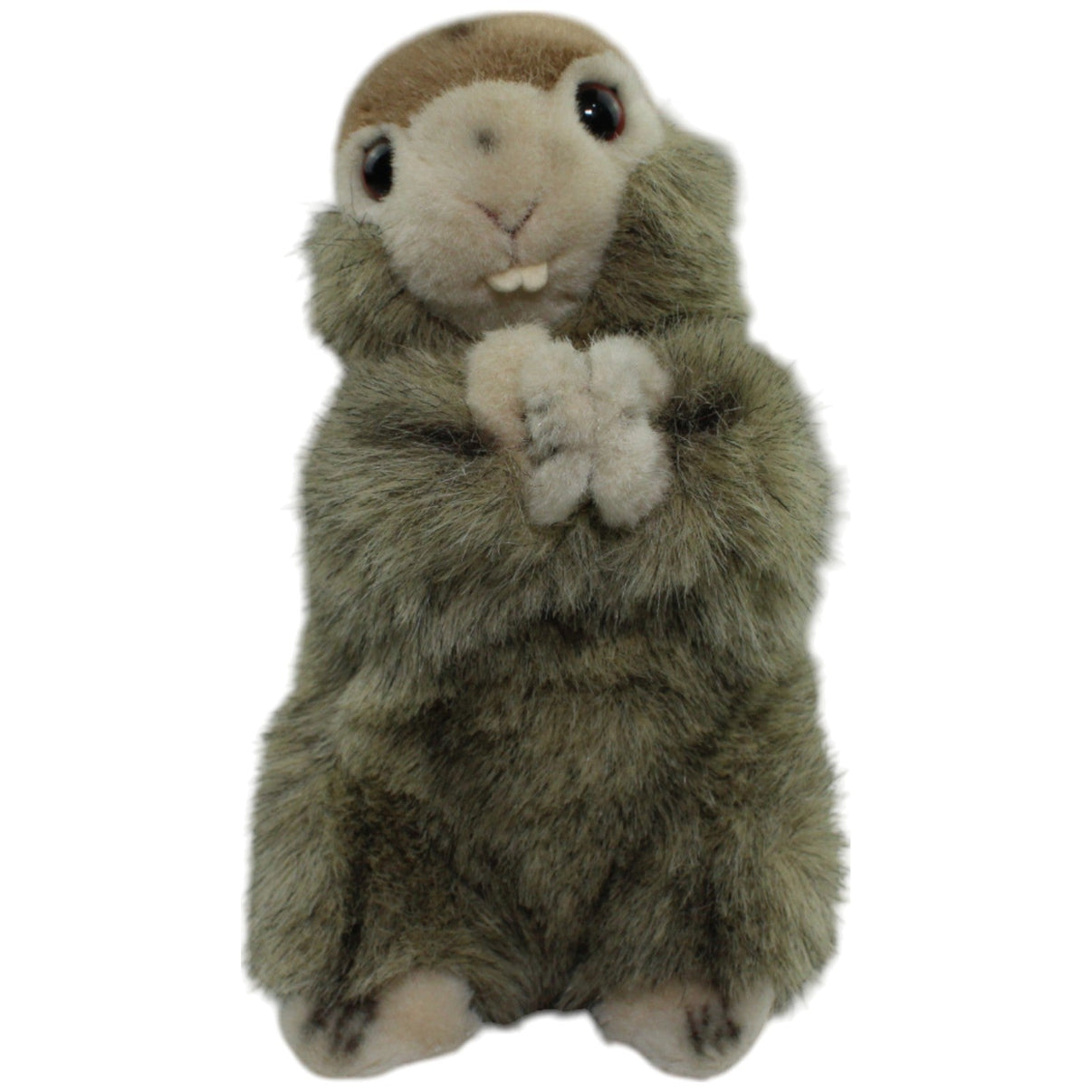 123000014153 Unbekannt Murmeltier, stehend Kuscheltier Kumpel Leo Gebraucht