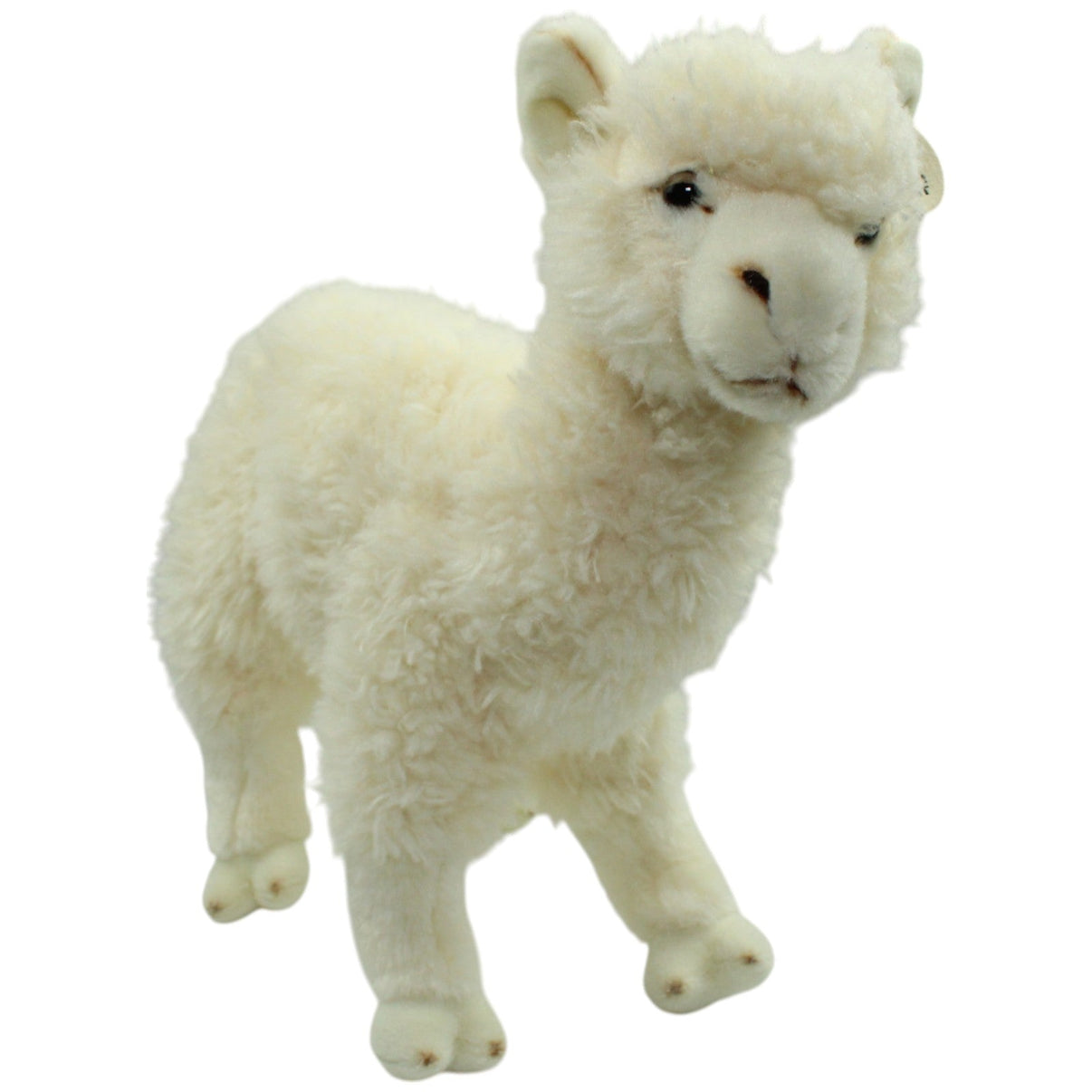 123000014662 Bon Ton Toys WWF, weißes Alpaka Kuscheltier Kumpel Leo Alpaka Gebraucht Lama