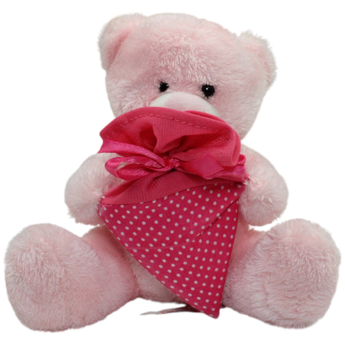 123000016420 Trötsch Verlag Rosa Teddybär mit Schultüte Kuscheltier Kumpel Leo Gebraucht