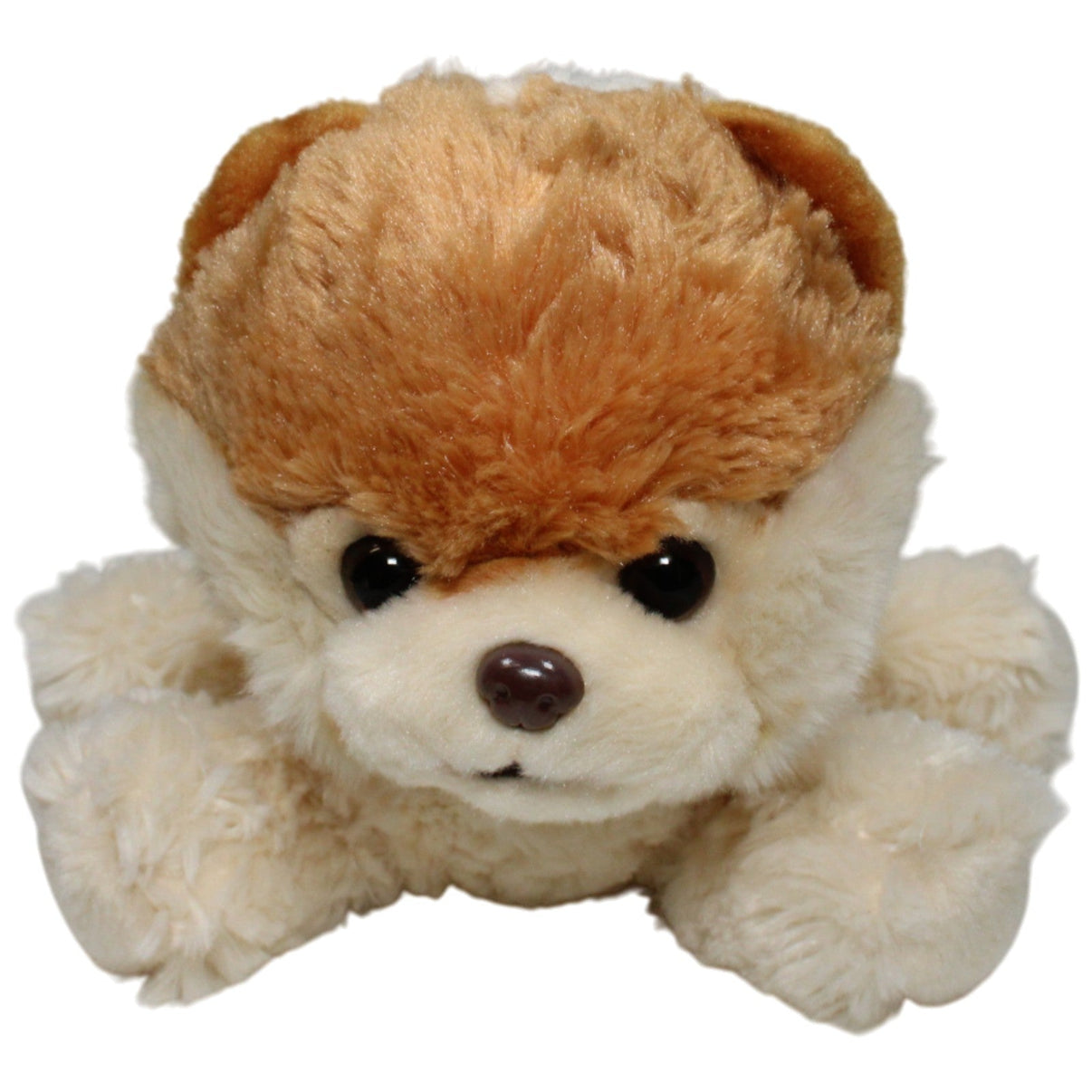 123000017156 Unbekannt Süßer Zwergspitz Kuscheltier Kumpel Leo 25cm Beige Braun