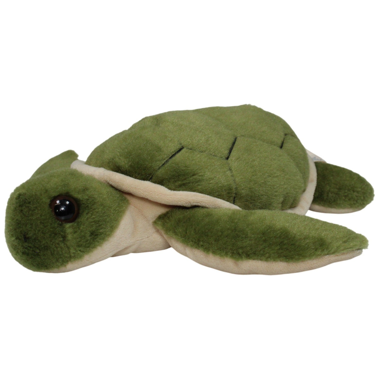 123000017970 Petjes World Hübsche Schildkröte, grün - beige Kuscheltier Kumpel Leo 28cm Beige ebay - stofftiere