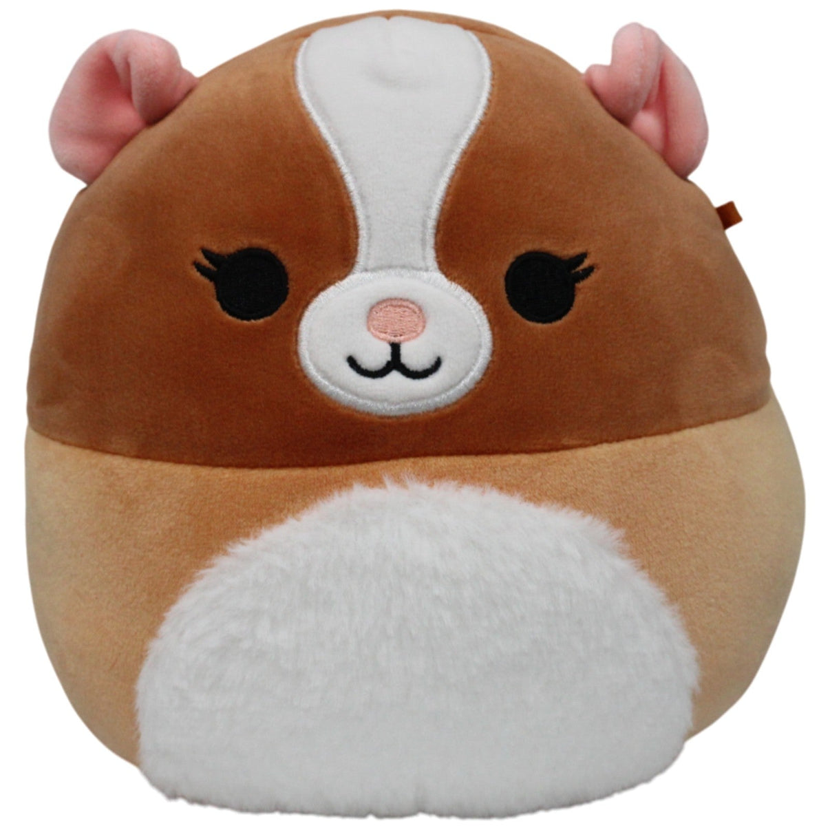 123000017999 Kellytoy Squishmallows, Meerschweinchen Garret Kuscheltier Kumpel Leo 19cm Braun ebay - 20 - stofftiere