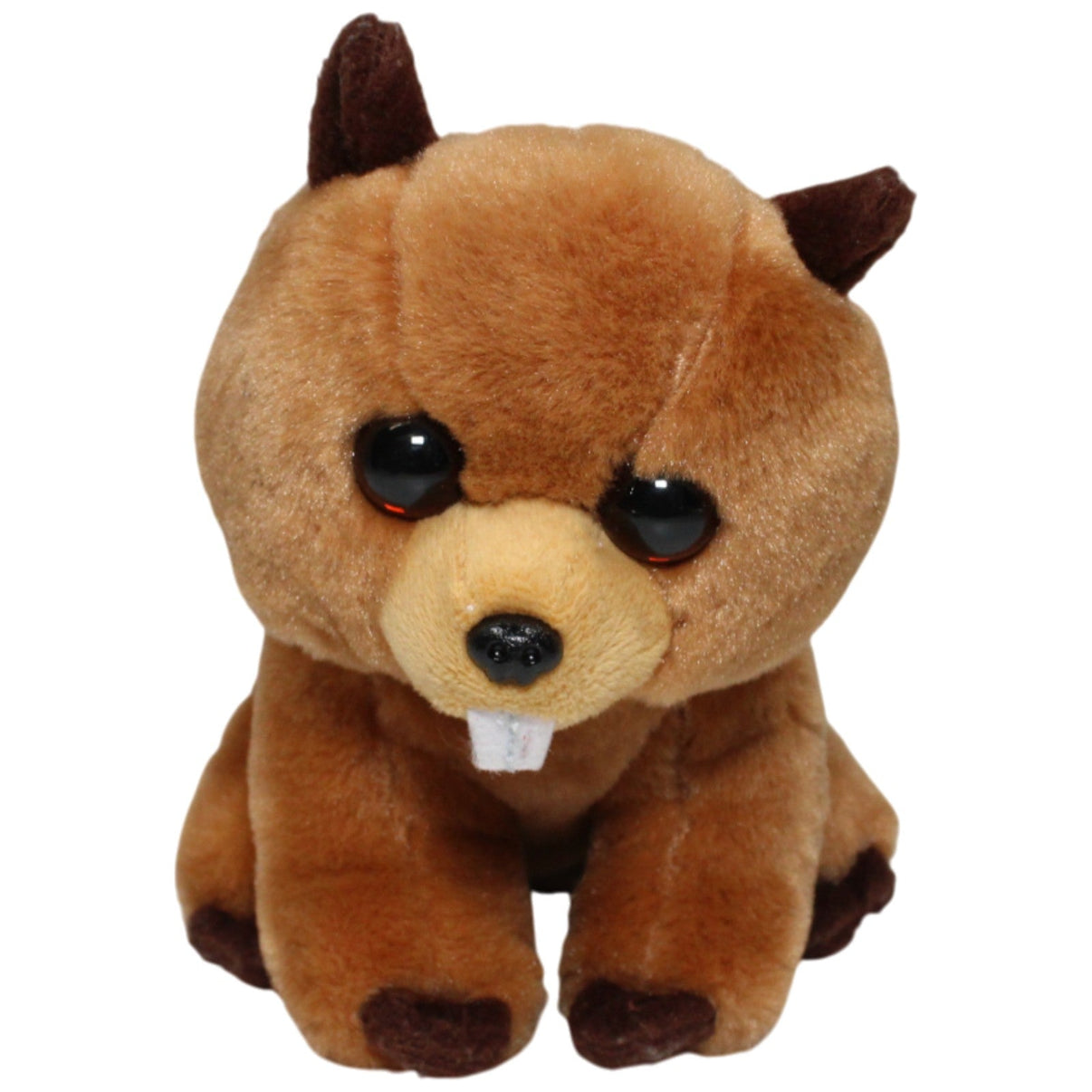 123000018363 TY VelveTy, Biber Richie Kuscheltier Kumpel Leo 2017 25cm Braun