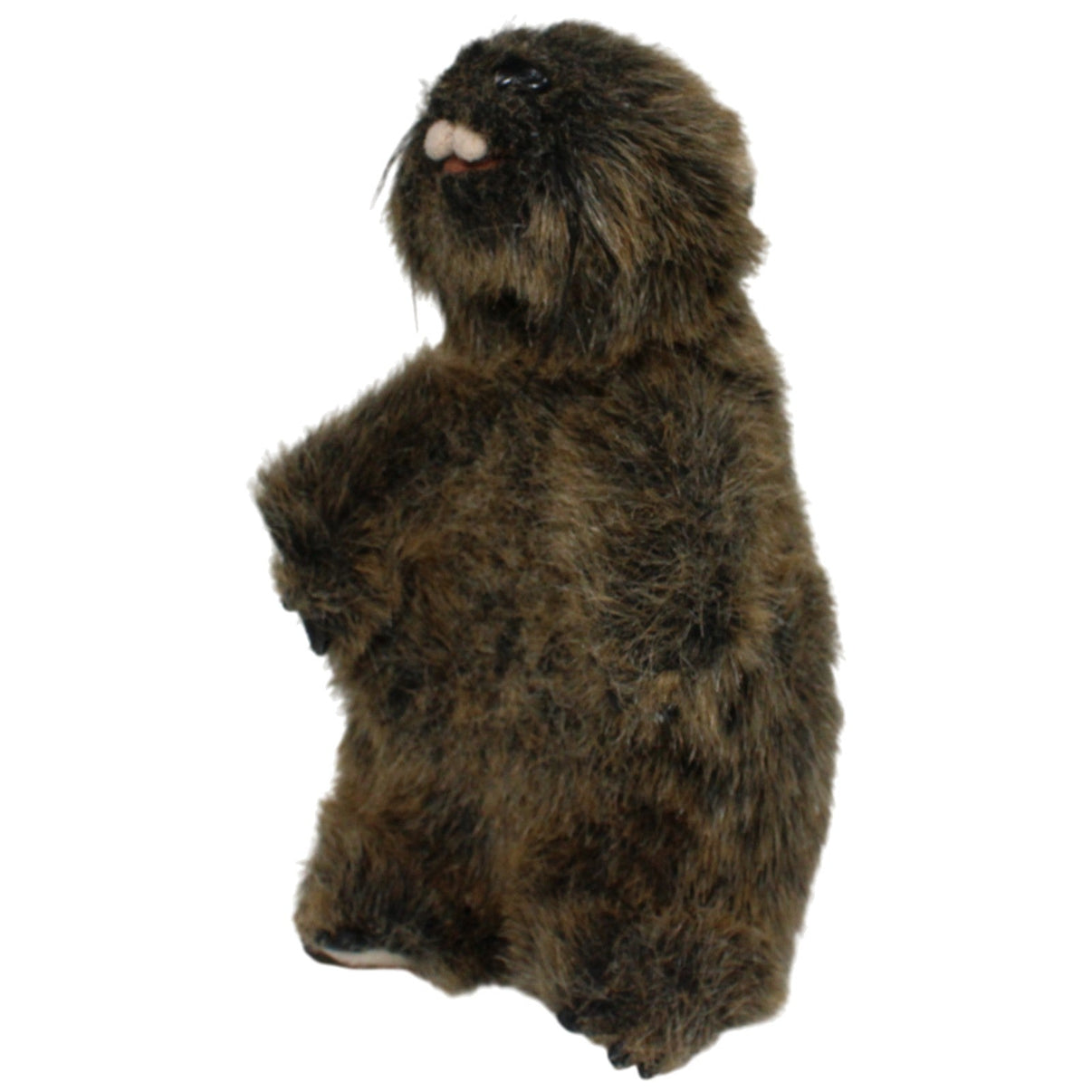 123000018600 ES Gerhardshofen Lustiges Murmeltier Kuscheltier Kumpel Leo 23cm _GREEN WEEK_ Braun