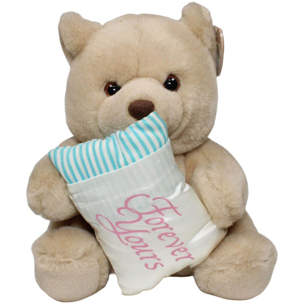 123000021734 SUMMIT CORP. Heartwarmers, Teddybär mit Kissen "Forever Yours" Kuscheltier Kumpel Leo 1991 24cm _Vintage_