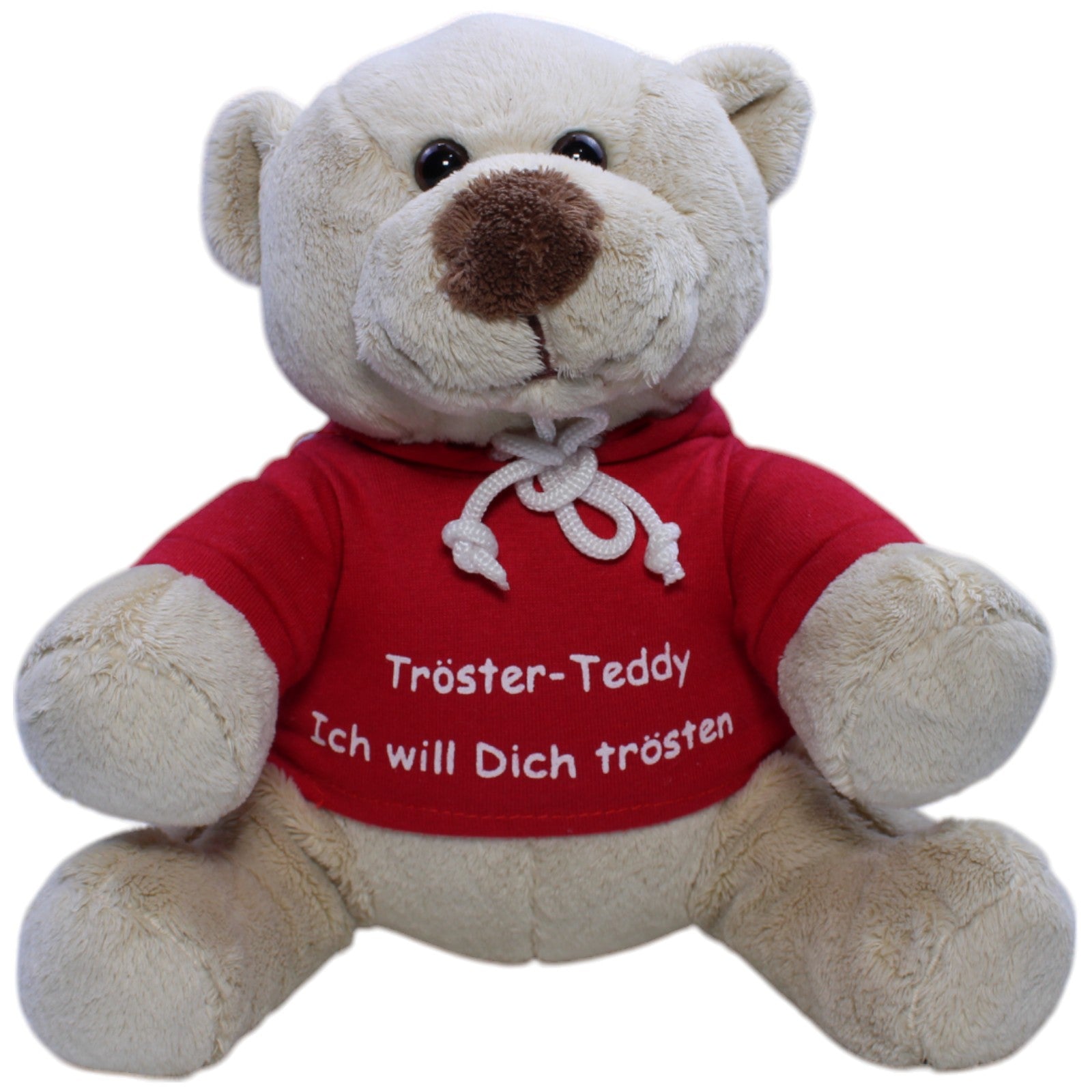 12310036 Mathias Pamer Teddybär, Tröster - Teddy "Ich will Dich trösten" Kuscheltier Kumpel Leo Gebraucht