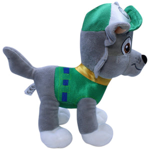 12310259 Play by Play Rocky aus Paw Patrol Kuscheltier Kumpel Leo Gebraucht Hund