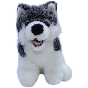 12310636 Paul Import Süßer Husky, sitzend Kuscheltier Kumpel Leo Gebraucht