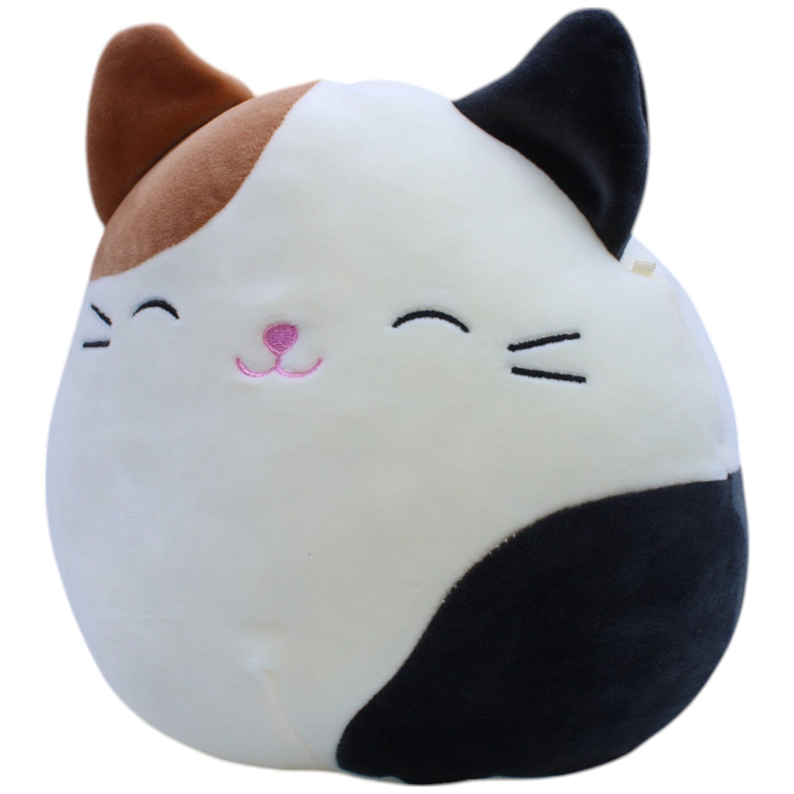 12311097 Kellytoy Squishmallows, Hauskatze Cam Kuscheltier Kumpel Leo Gebraucht