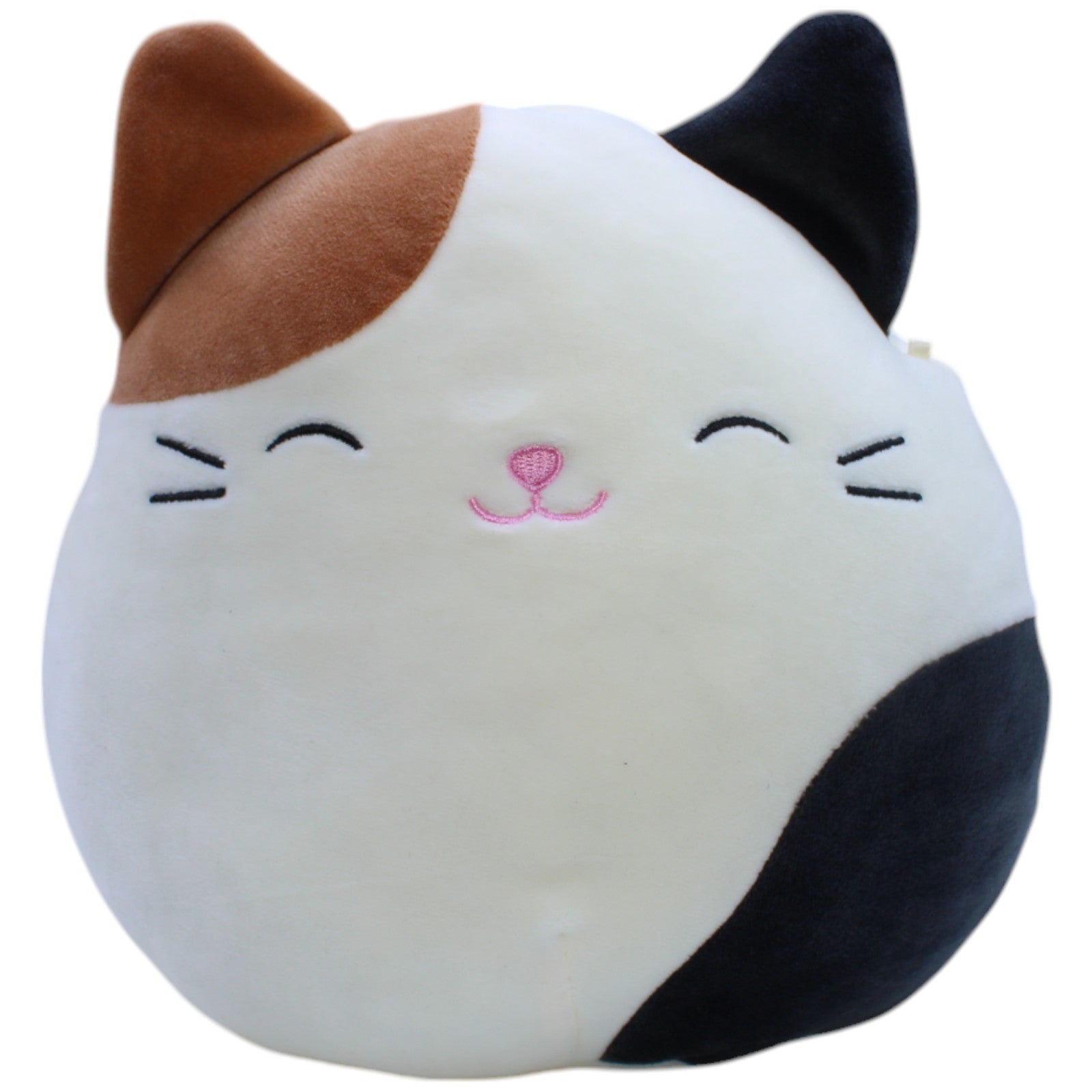 12311097 Kellytoy Squishmallows, Hauskatze Cam Kuscheltier Kumpel Leo Gebraucht