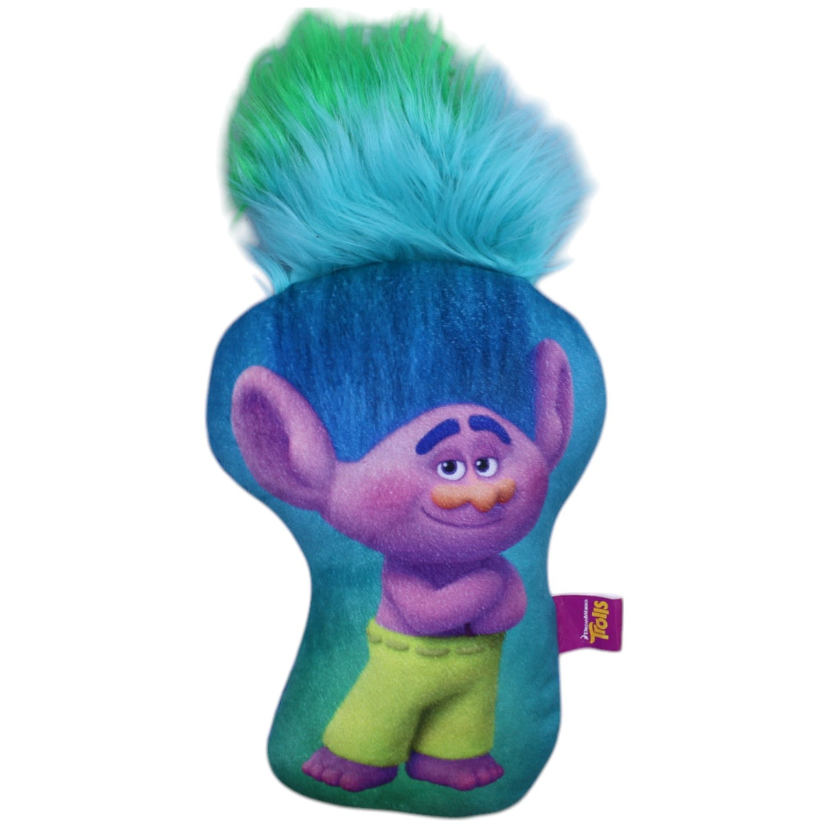 12311262 Toyworld DreamWorks Trolls, Creek Formkissen Kumpel Leo Gebraucht