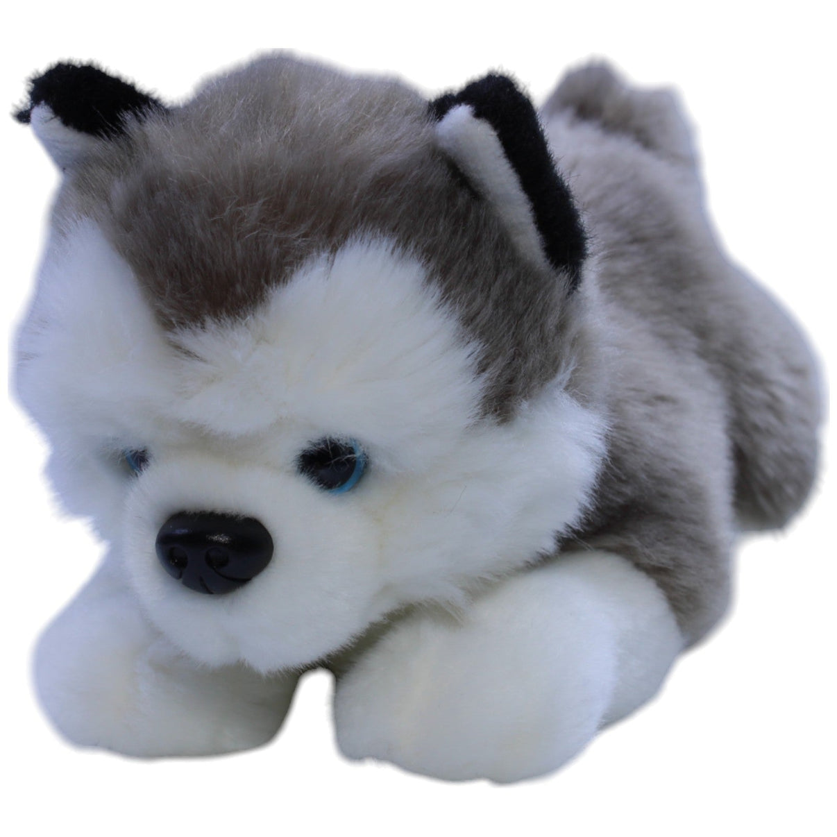 12311518 Toy Place Süßer Husky Welpe, liegend Kuscheltier Kumpel Leo Gebraucht Hund Müller