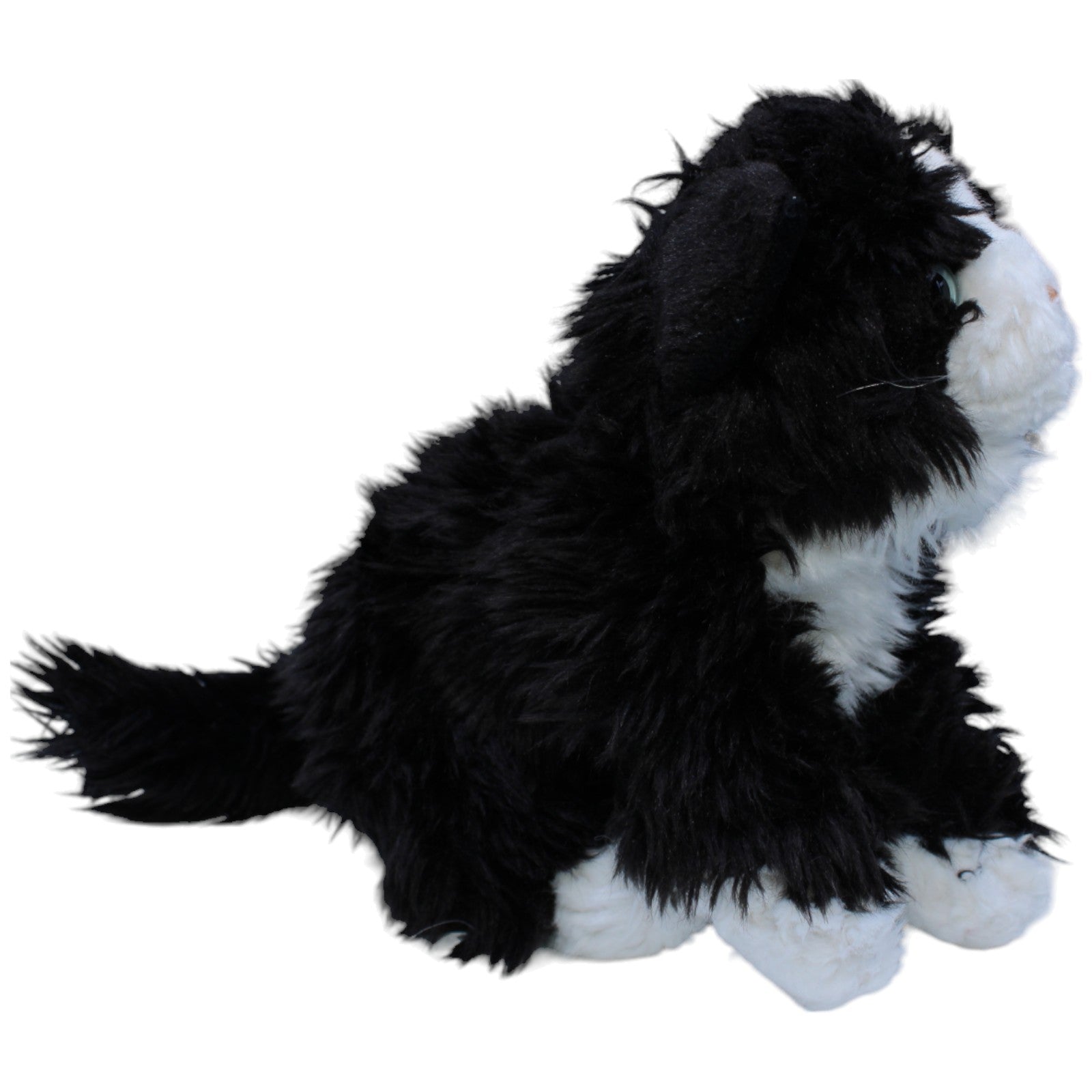 1234162 Besttoy Katzen Baby, schwarz-weiß Kuscheltier Kumpel Leo Gebraucht Kitten