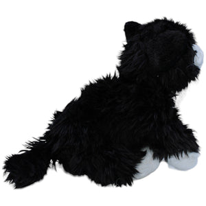 1234162 Besttoy Katzen Baby, schwarz-weiß Kuscheltier Kumpel Leo Gebraucht Kitten