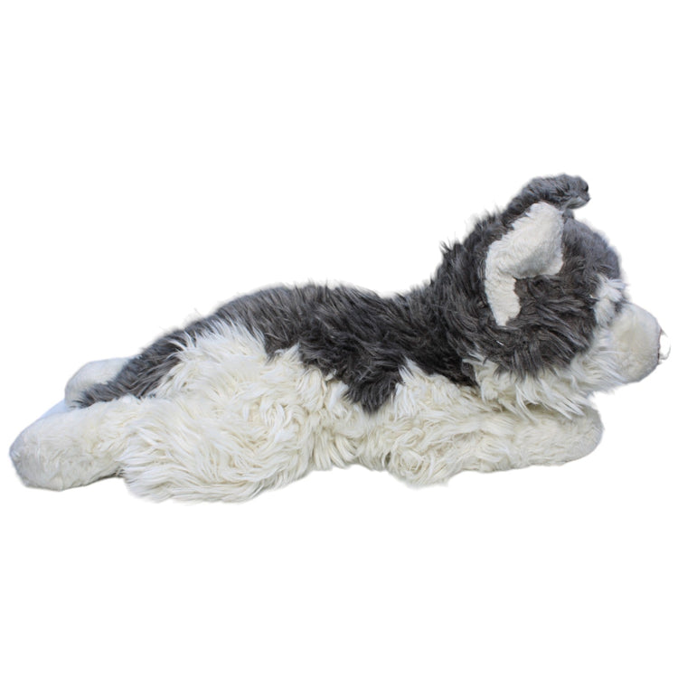 1234166 Besttoy Husky, liegend Kuscheltier Kumpel Leo Gebraucht Hund