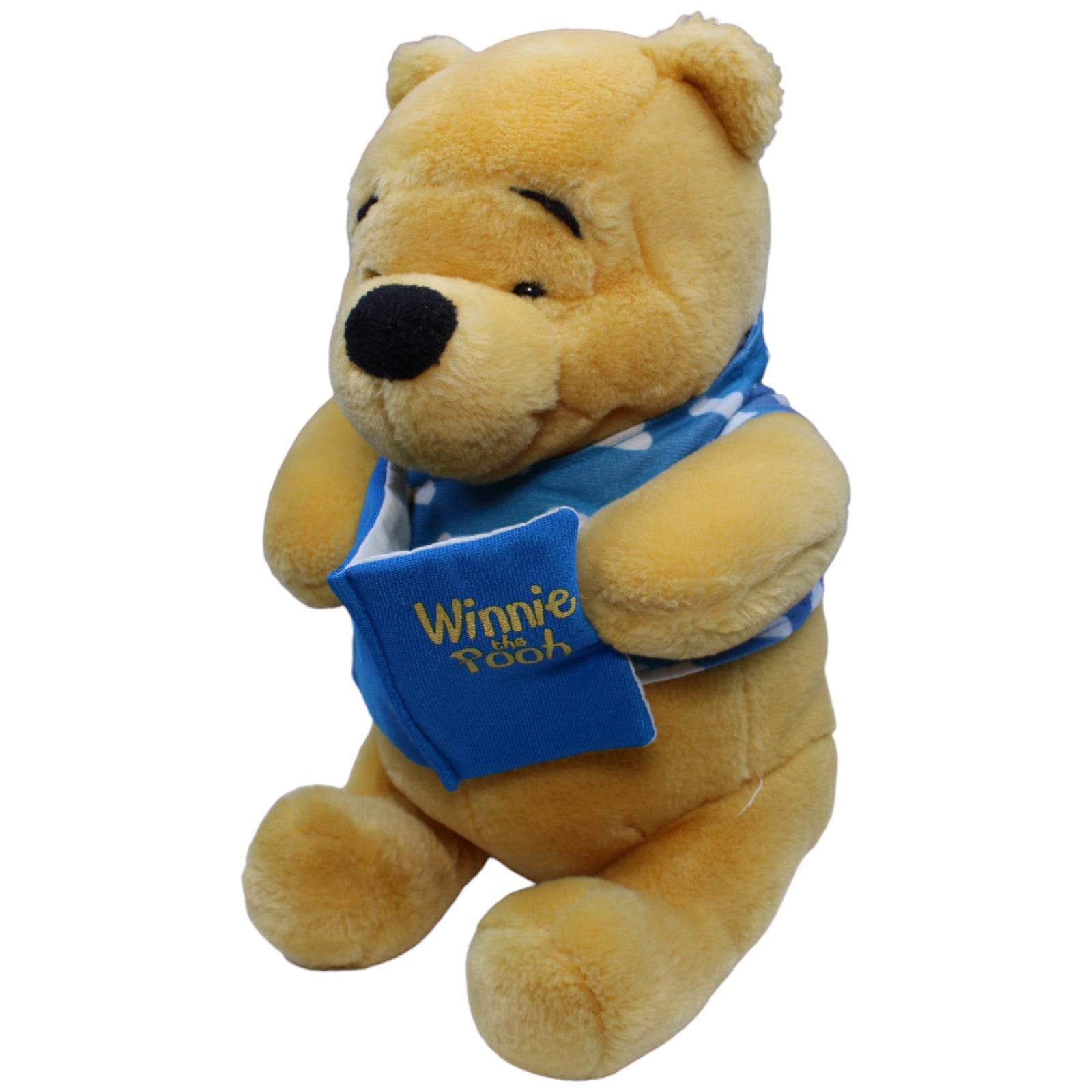 1234462 Toyworld Disney Winnie Puuh mit Buch Kuscheltier Kumpel Leo Gebraucht