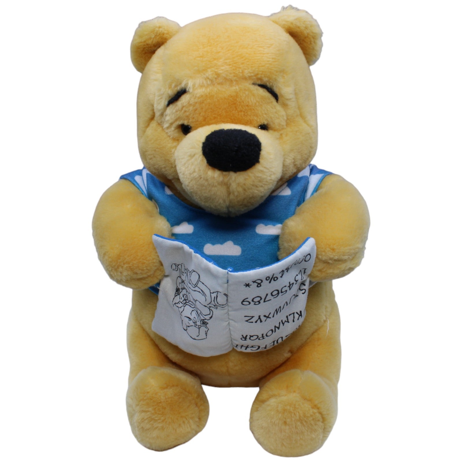 1234462 Toyworld Disney Winnie Puuh mit Buch Kuscheltier Kumpel Leo Gebraucht