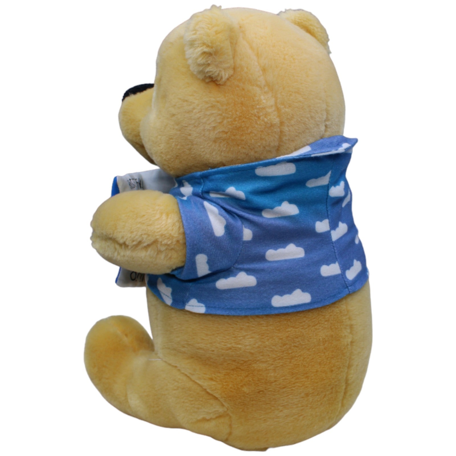 1234462 Toyworld Disney Winnie Puuh mit Buch Kuscheltier Kumpel Leo Gebraucht