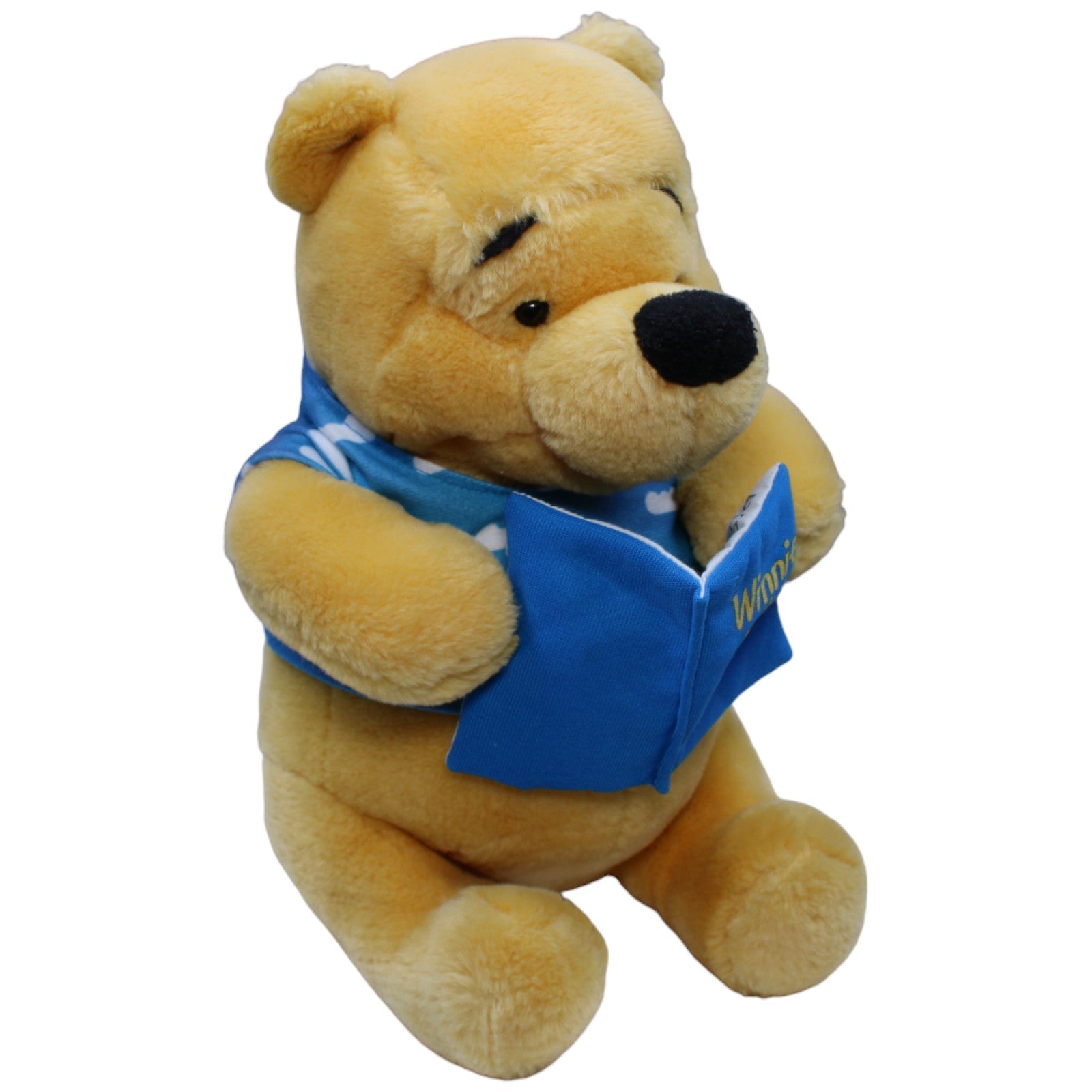 1234462 Toyworld Disney Winnie Puuh mit Buch Kuscheltier Kumpel Leo Gebraucht