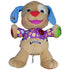 1234821 Fisher-Price Lernspaß Hund, 2007 Interaktives Spielzeug Kumpel Leo Gebraucht