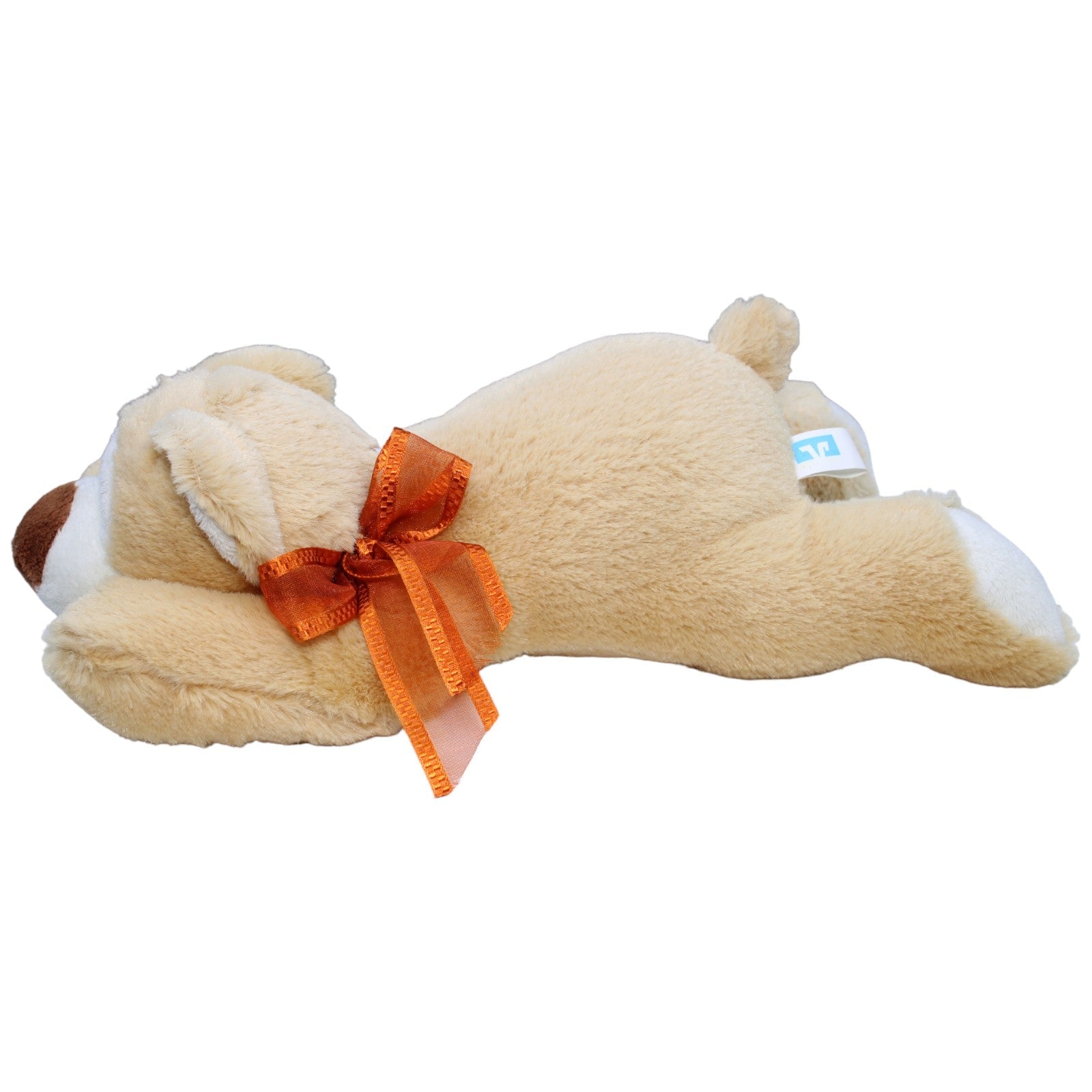 1234895 DG Verlag Volksbank, Schlafender Bär mit Schleife Kuscheltier Kumpel Leo Bär Gebraucht Teddy