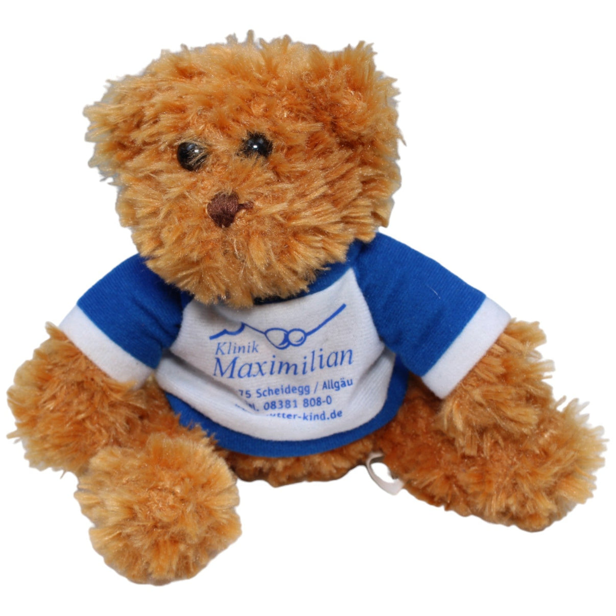 1235086 Eltern und Kind Kliniken Dienstleistungs GmbH Klinik Maximilian Scheidegg Teddybär Kuscheltier Kumpel Leo Bär Gebraucht Teddy