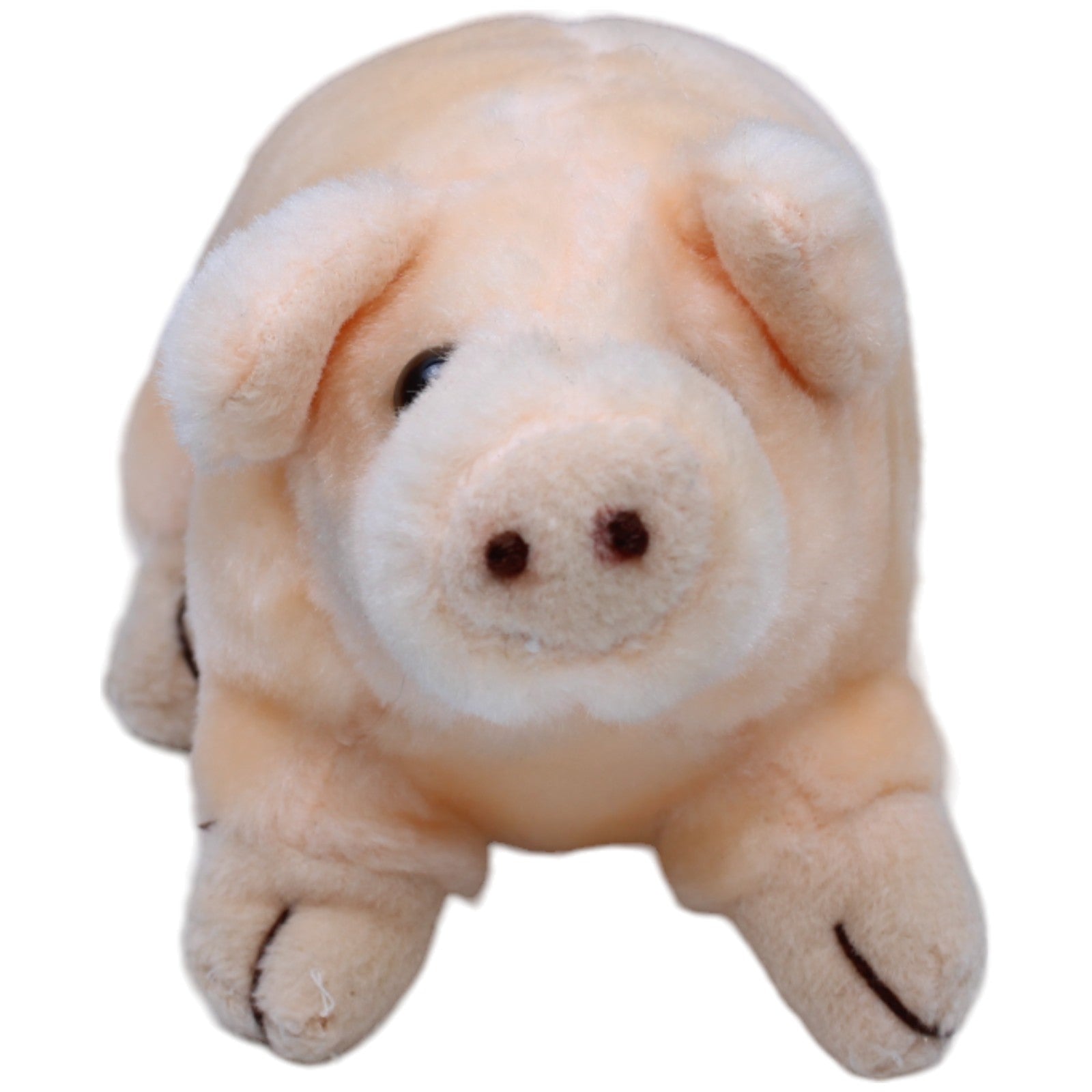 1235118 Stein GmbH Schwein Kuscheltier Kumpel Leo Gebraucht