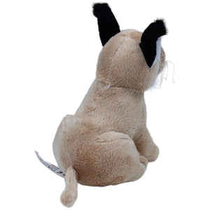 1235989 PIA International Soft Toys Luchs sitzend, klein Kuscheltier Kumpel Leo Gebraucht