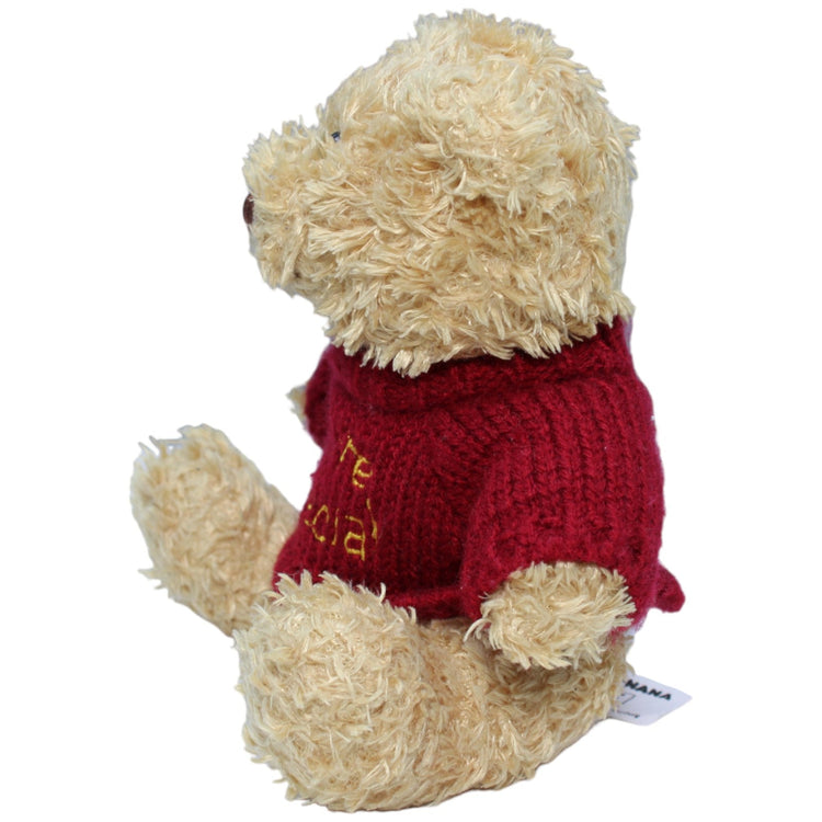 1236126 Nanu - Nana Teddybär mit Pulli " You´re special ", hellbraun Kuscheltier Kumpel Leo Bär Gebraucht Teddy