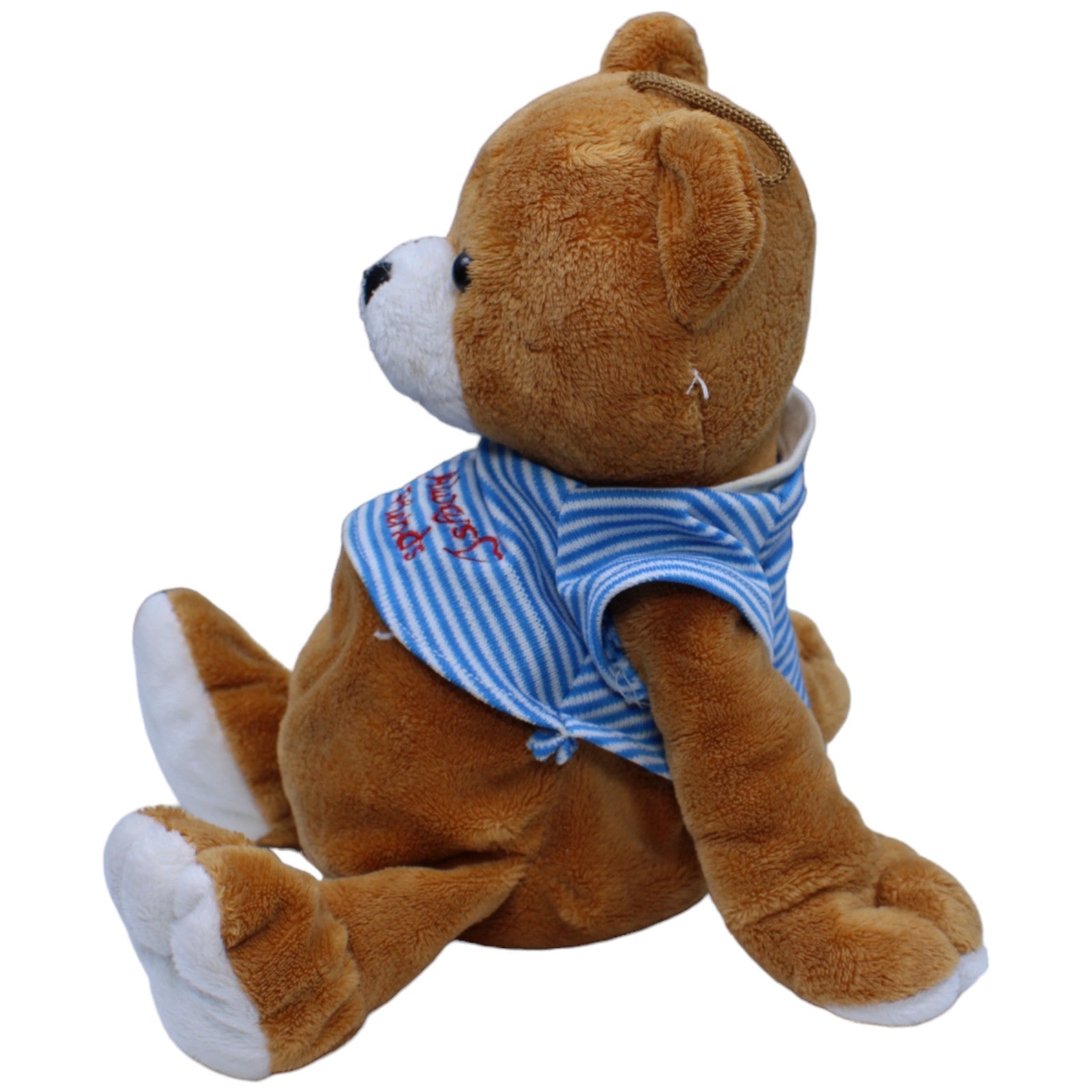 1236512 Paul Import Süßer Teddybär mit Shirt "Always Friends" Kuscheltier Kumpel Leo Bär Gebraucht Teddy