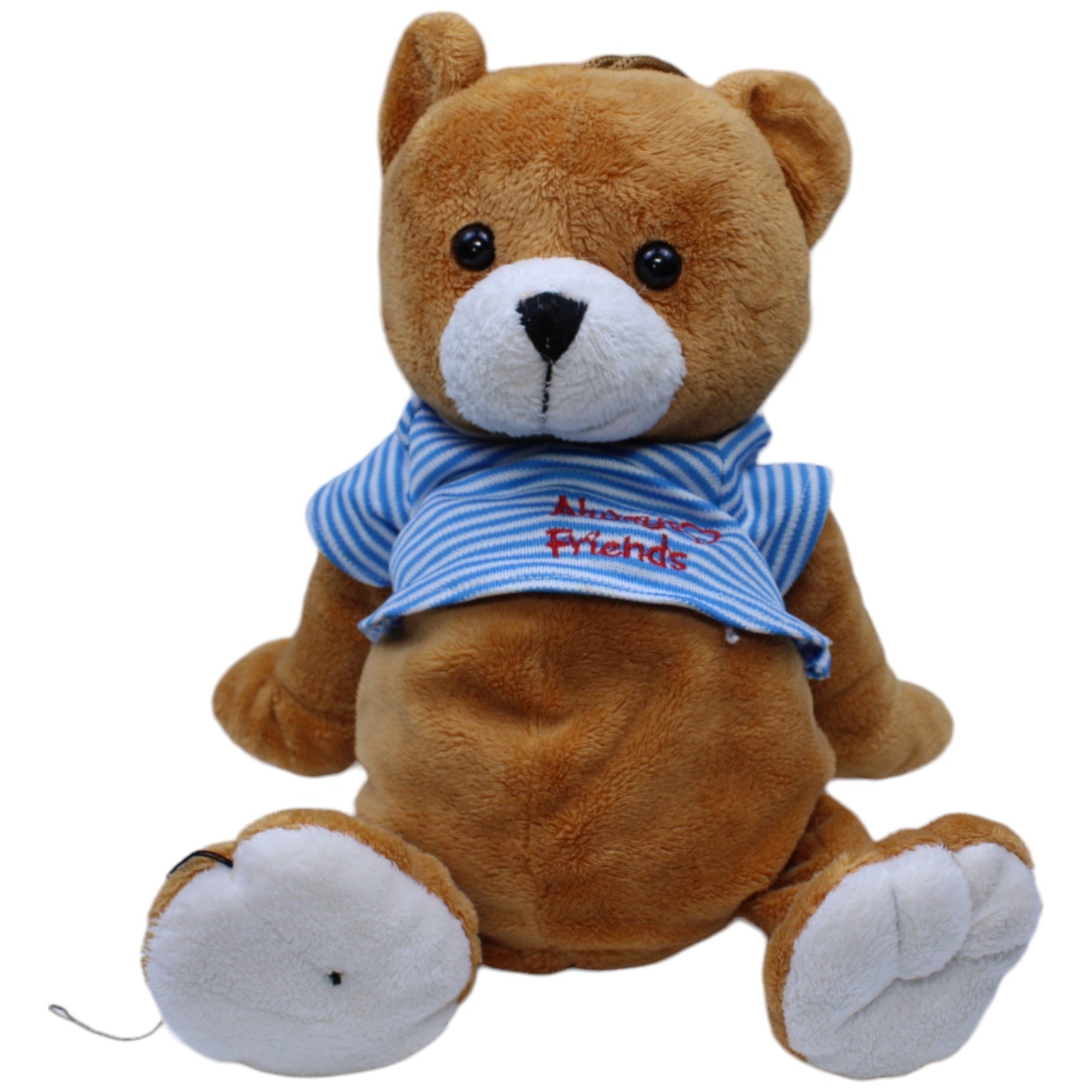 1236512 Paul Import Süßer Teddybär mit Shirt "Always Friends" Kuscheltier Kumpel Leo Bär Gebraucht Teddy