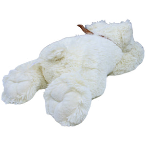 1236543 ESC Toys Süßer schlafender Bär, weiß Kuscheltier Kumpel Leo Bär Gebraucht Teddy