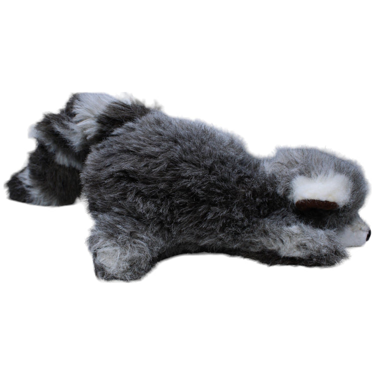 1236780 WASI - Production Handpuppe, süßer Waschbär Handpuppe Kumpel Leo Gebraucht