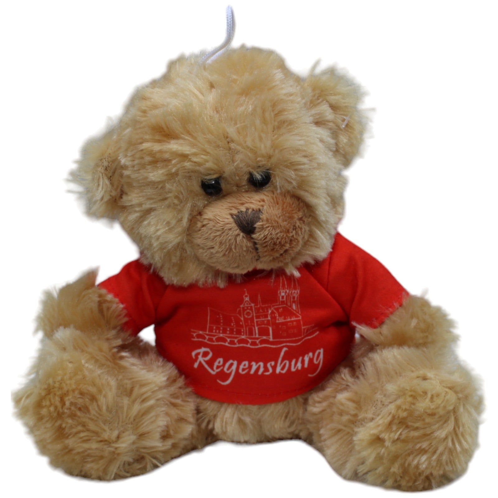 1237329 Edeltraut Hofmann Süßer Regensburg Teddybär Kuscheltier Kumpel Leo Gebraucht