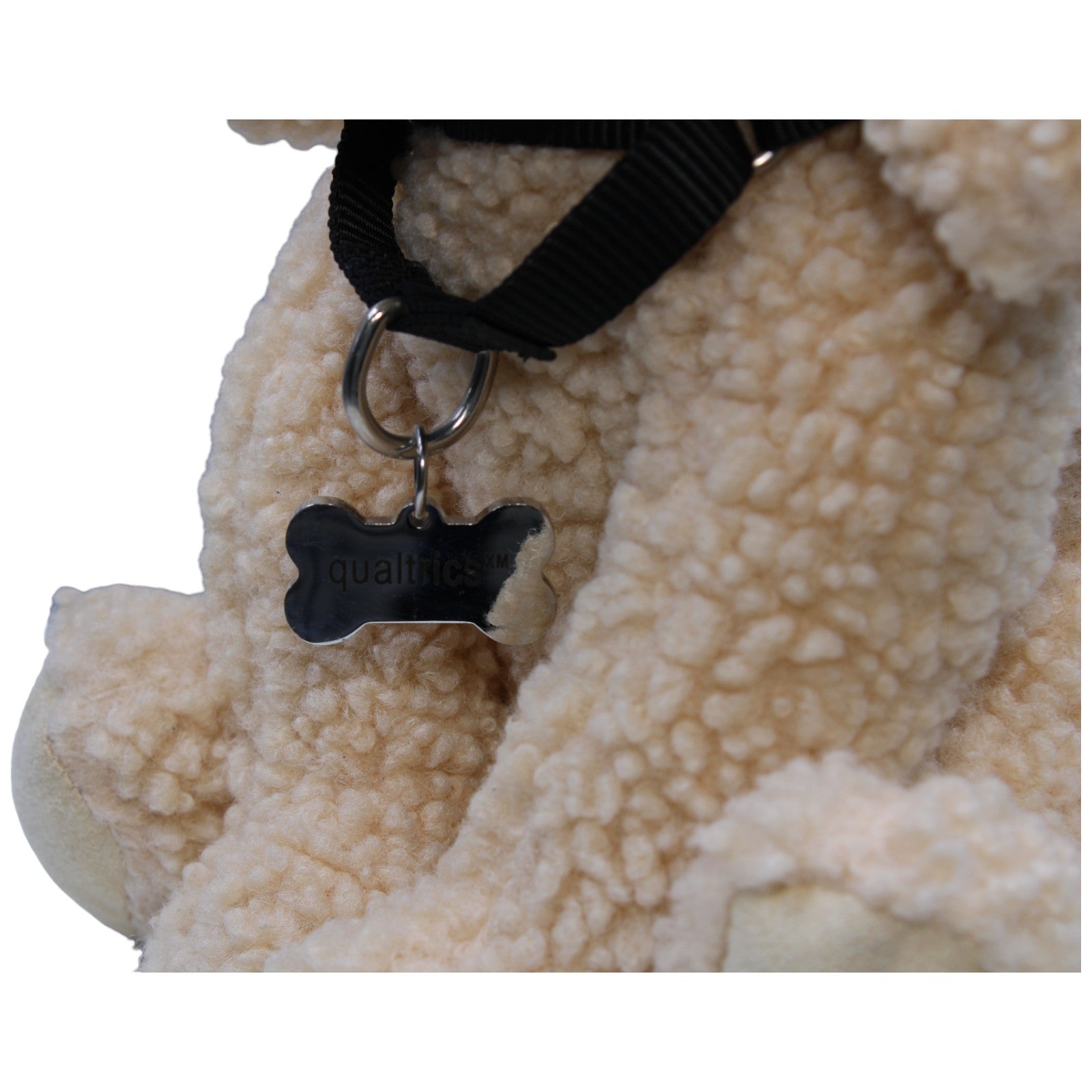 1237493 IP Advertising & Promotions qualtrics xm, lockiger Hund mit Halsband Kuscheltier Kumpel Leo Gebraucht