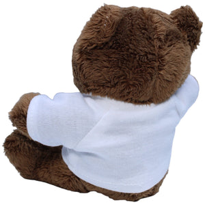 1237595 mbw Vertriebsges. mbH Teddybär von GIEAG Kuscheltier Kumpel Leo Bär Gebraucht Teddy