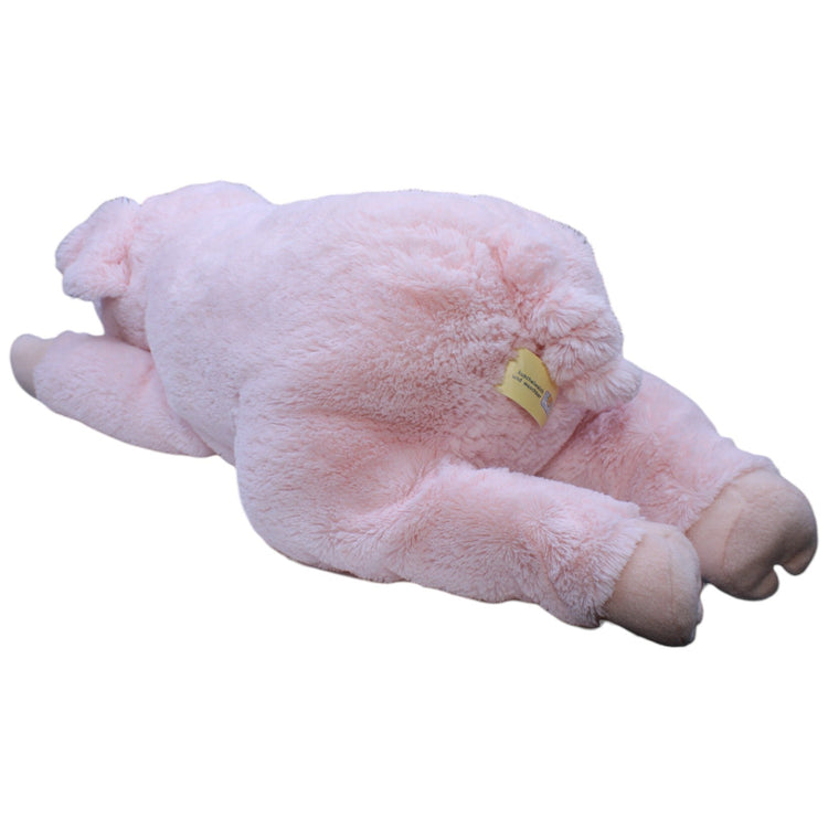 1237998 Bob der Bär XL Schwein liegend Kuscheltier Kumpel Leo Gebraucht