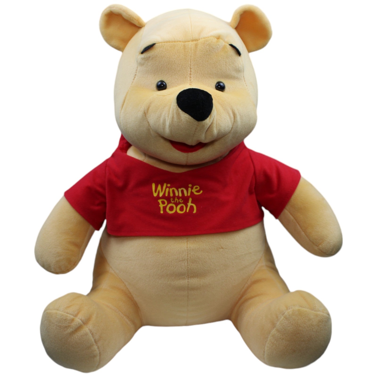 1238025 Fisher - Price XL Disney Winnie Puuh Kuscheltier Kumpel Leo Bär Gebraucht Teddy