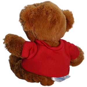 1238146 Bambia Teddybär mit Shirt "Mit Dir ist jeder Tag etwas Besonderes" Kuscheltier Kumpel Leo Gebraucht