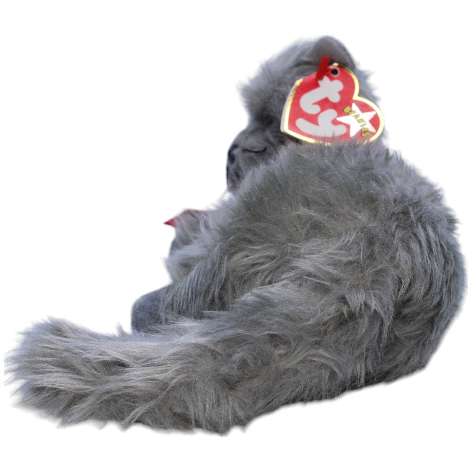 1238991 TY Beanie Baby, Katze Beani Kuscheltier Kumpel Leo neu Vintage