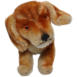 1239007 Steiff Dackel Bazi Kuscheltier Kumpel Leo Gebraucht Vintage