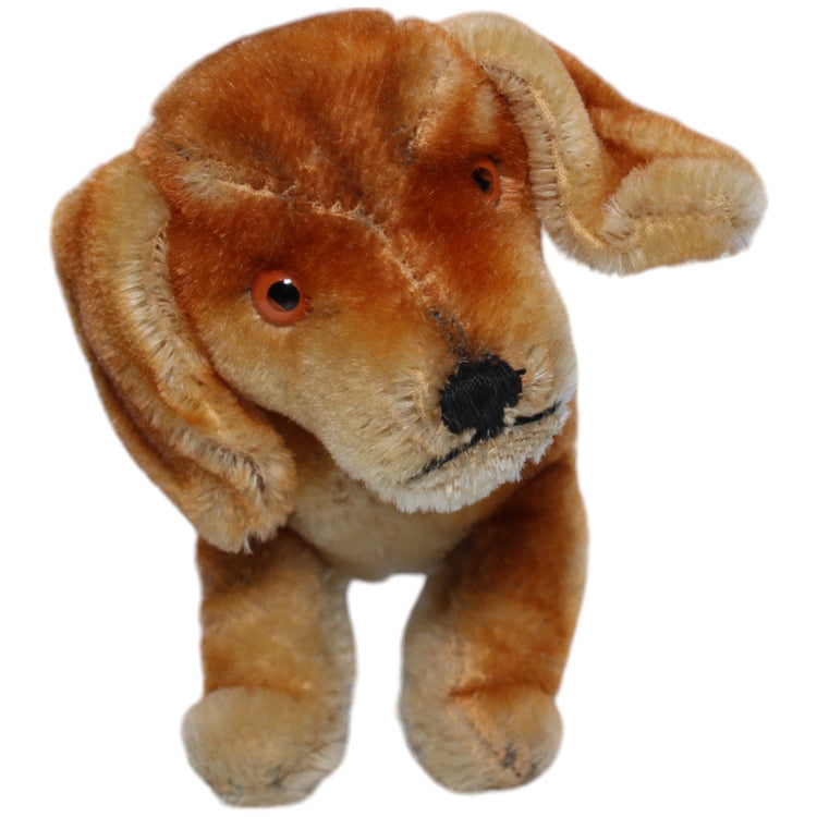 1239007 Steiff Dackel Bazi Kuscheltier Kumpel Leo Gebraucht Vintage