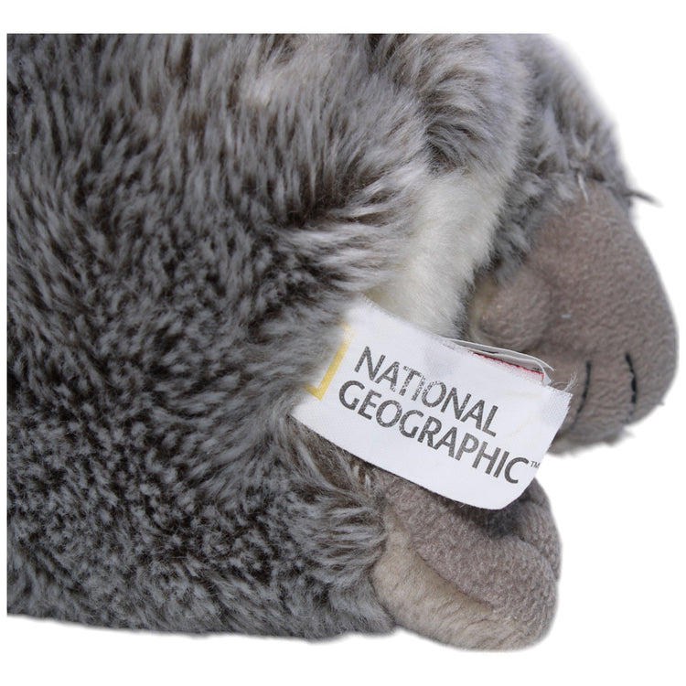 1239536 Lelly by Venturelli National Geographic, Koala Kuscheltier Kumpel Leo Gebraucht