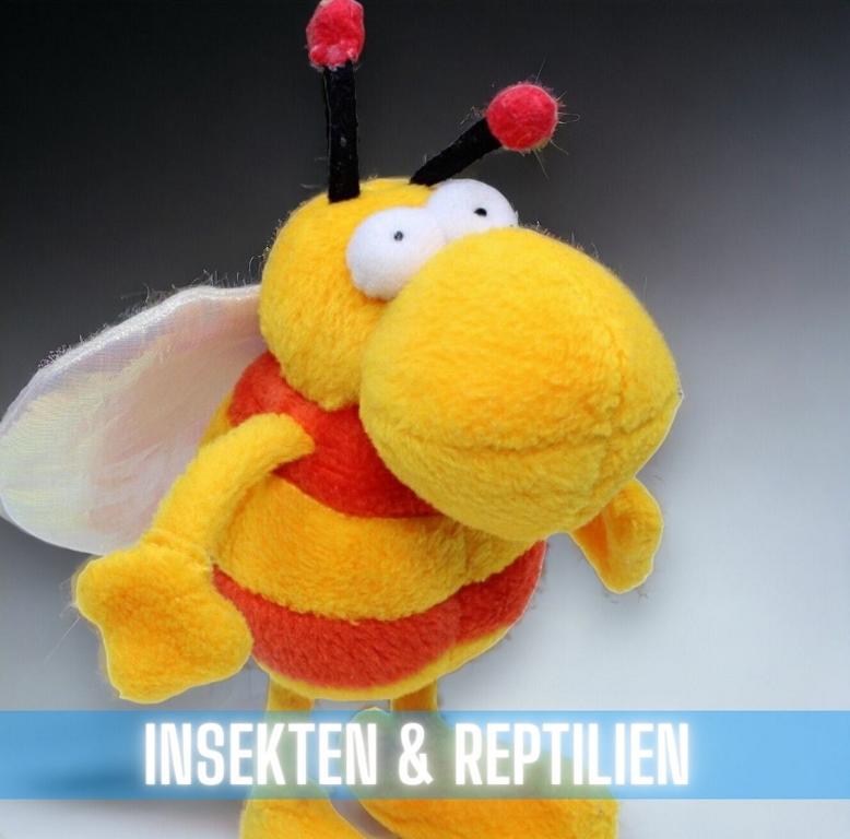 Insekten_Reptilien