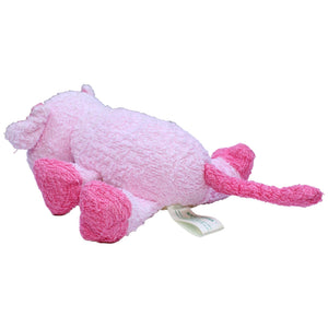 1231186 Scrubby Buddies Badetier, Squiggles Badetier Kumpel Leo Gebraucht Schwein